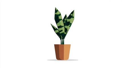 A detailed illustration of a snake plant in a brown pot, isolated on white.