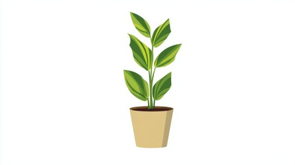 Fototapeta premium A stylized vector illustration of a tall houseplant with variegated green and yellow leaves in a simple pot.