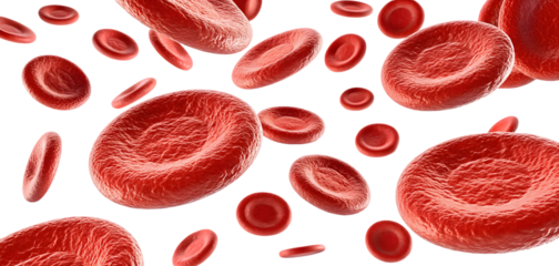 Red blood cells microscopic view isolated on white or transparent background