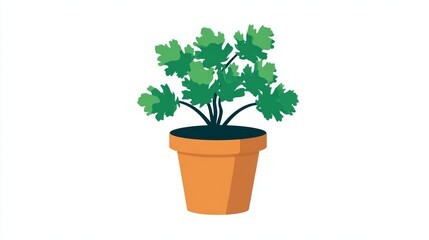 Obraz premium A vibrant illustration of a potted parsley plant, showcasing its lush green foliage and terracotta pot.