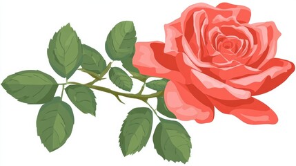 Fototapeta premium A vibrant coral rose with green leaves and thorns on a white background.