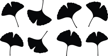 Ginkgo leaf silhouette set, botanical vector illustration, black foliage icons, nature inspired design, flat minimalist leaves, isolated plant elements