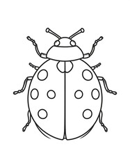 Simple black and white ladybug drawing
