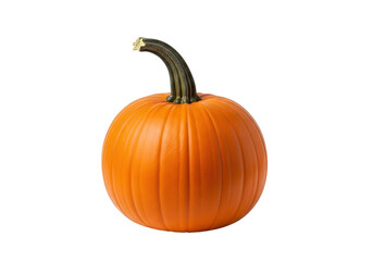 Obraz premium Vector art of a whole, uncarved orange pumpkin with a green stem