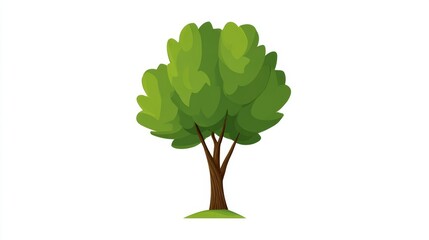 A simple, stylized illustration of a lush green deciduous tree with a brown trunk, isolated on a white background.