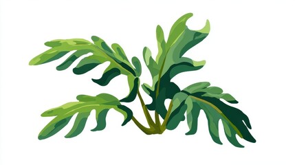 Fototapeta premium A vibrant illustration of a green plant with deeply lobed leaves, set against a white background.