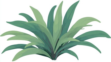 Fototapeta premium Close-up macro shot of a single aloe vera plant leaf isolated on white, highlighting the succulent botany of this herbal plant