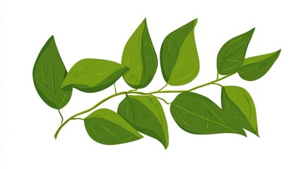 A vibrant illustration of a green leafy branch with multiple leaves spread out against a white background.