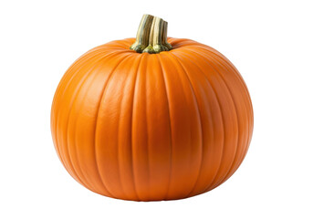 Vector art of a single whole pumpkin