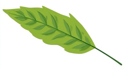 A single, fresh green leaf from a tropical plant is shown in macro close-up, perfectly isolated on a white background to highlight its natural foliage and delicate vein structure