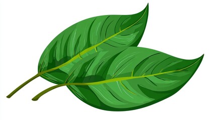 Single bright green tropical leaf macro isolated on a clean white background
