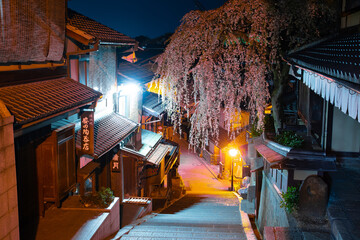 春のライトアップされた桜