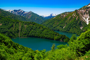 棚田に映る青空