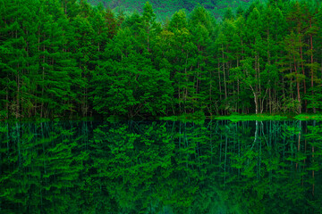 神秘的な御射鹿池