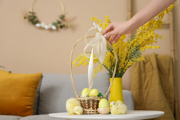 Female hand with basket of Easter eggs, baby chickens and mimosa branches on table at home