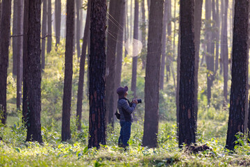 Photographer is taking photo of the new discovering bird species while exploring in the pine forest for surveying and locating rare biological diversity and ecologist on field study