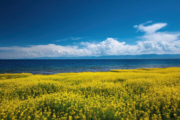 Fototapeta premium Vibrant Yellow Flowers Blooming by the Serene Sea