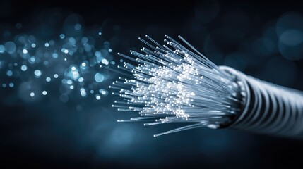 A bundle of fiber optic cables against a dark background with a blue glow.