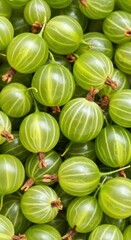 Vibrant Green Gooseberries Background: Fresh Organic Berries for Healthy Summer Concepts