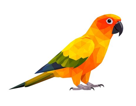 Low-poly parrot illustration - Powered by Adobe