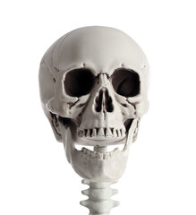 Obraz premium Skull of scary human skeleton isolated on white background