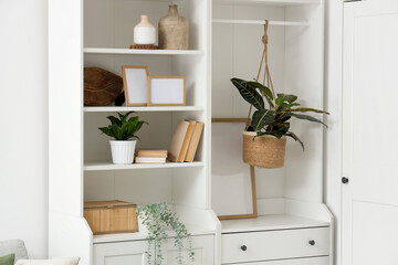 Closet with plants and books in living room