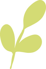 Cute Leaf Illustration