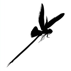 Dragonfly silhouette vector graphic