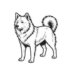 Minimalist vector drawing of Kintamani dog breed, black and white with bold black outline, suitable for logos, educational materials, or creative design projects.