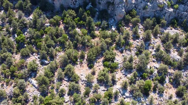 An aerial perspective captures the vibrant green landscape of a mountainous region near Fethiye, Turkey, showcasing dense forestation and natural beauty under clear skies. This footage is ideal for tr