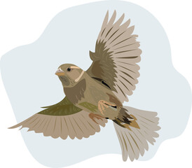 Flying Sparrow Bird Vector Illustration on White Background