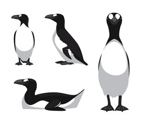 Great Auk Bird Poses Vector Cartoon