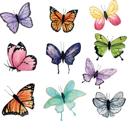 Colorful butterfly set Watercolor illustration of beautiful butterflies in various colors