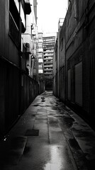 Fototapeta premium Narrow alleyway between buildings, black and white, urban, wet pavement