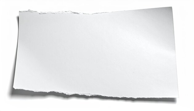 A torn, blank sheet of white paper with rough edges, isolated on white