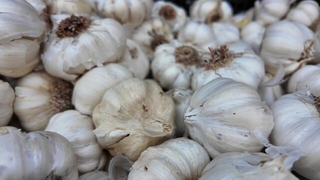 Fresh garlic for cooking and health at local market