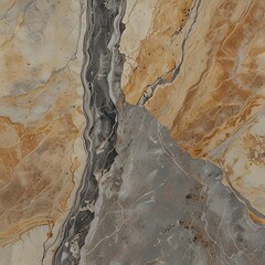 tree bark background