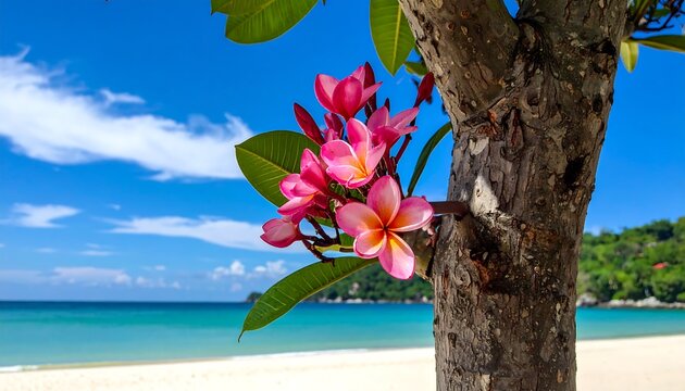 Bright pink blossoms bloom against a tropical backdrop of a blue sky, white sand beach, and turquoise ocean, near a tree