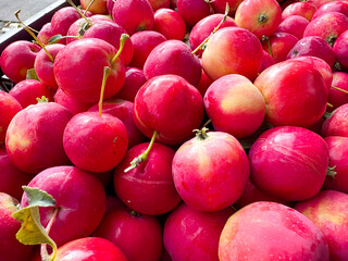 Small red apples. . The harvest . Apples in a box.