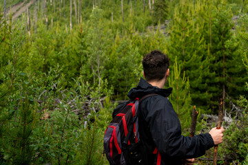 A hiker, viewed from behind, pauses amidst a dense forest