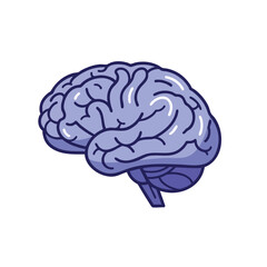 Stylized Human Brain Depicted in a Side View with Detailed Lobes