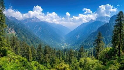 Fototapeta premium Verdant valley between mountains under a partly cloudy blue sky
