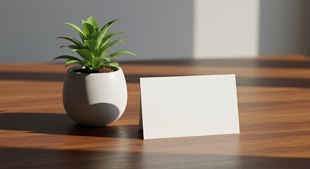 Minimalist workspace featuring a succulent, blank card, and inviting sunlight ambience
