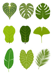 A colorful collection of isolated green leaves, foliage, and branches: a natural set for spring and summer organic design