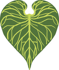 Heart-shaped green leaf on a branch with vector illustration for spring or summer nature design and decoration