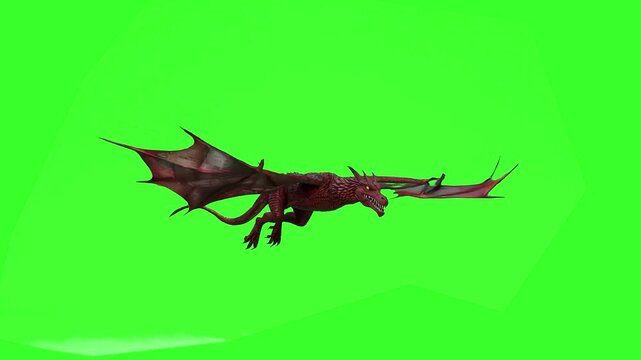 A detailed red dragon with large leather wings flaps powerfully and flies forward in a seamless looping animation against a solid green screen background. Perfect for fantasy videos, game trailers, Ha