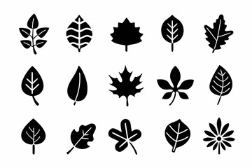 Collection of various leaf silhouettes vector set