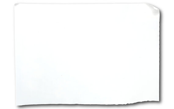 Blank White Paper Sheet with Curled Corner and Ripped Bottom Edge Design Element