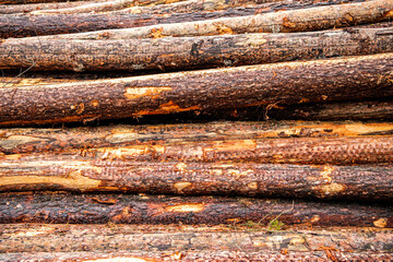 Firewood stacked in heap. A pile of stacked firewood. Firewood harvested for heating in winter. Chopped firewood on a stack. Pile of wood log. Natural wooden background