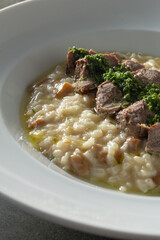 A closeup view of a filet mignon risotto entree.